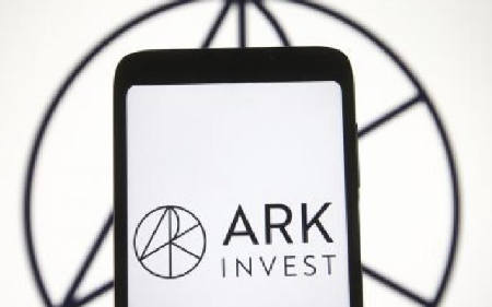 What do financial analysts think about the Ark Fund